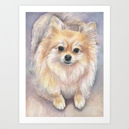 Pomeranian Watercolor Pom Puppy Dog Painting Art Print