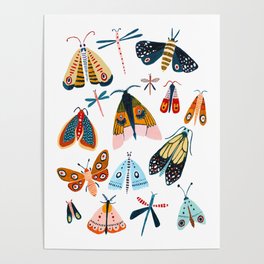 Moth Species Poster