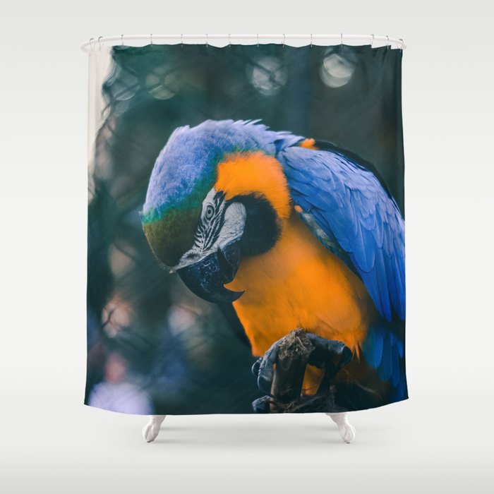 Brazil Photography - Blue And Yellow Macaw Parrot Shower Curtain