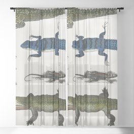 Collection of Various Reptiles Sheer Curtain