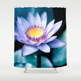 Radiance Shower Curtain