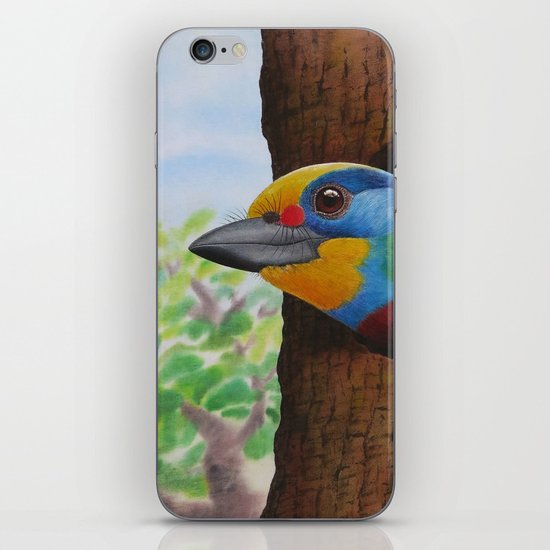 Beautiful Bird iPhone & iPod Skin