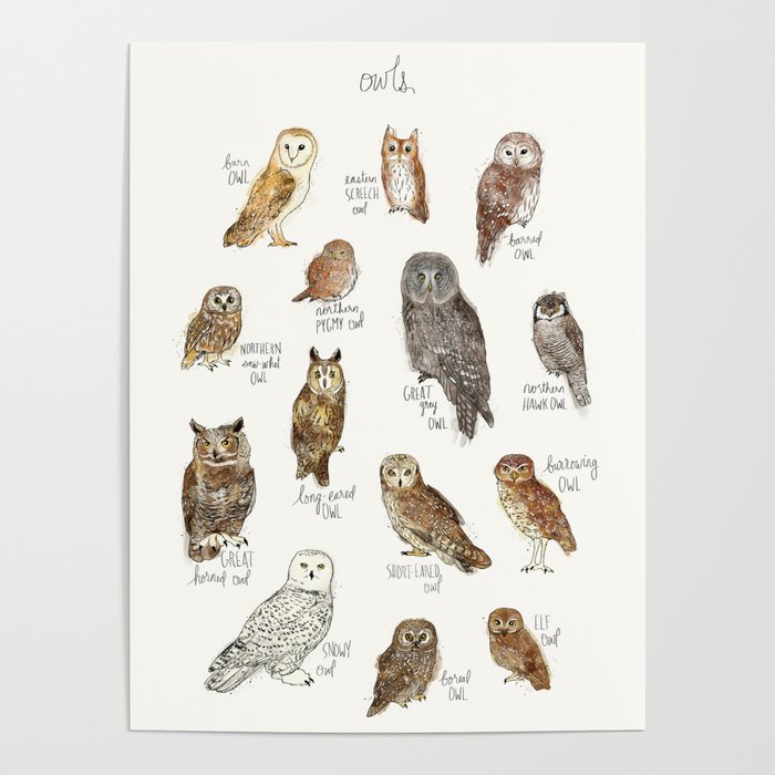 Owls Poster