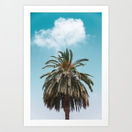 Palm Trees in Barcelona, Digital Print, Spain, Summer Wallpaper, Nature Photography, Printable Photo Art Print | Teal, Cloud, Clouds, Photo, Summer, Decoration, Skies, Wallpaper, Spain, Trees 