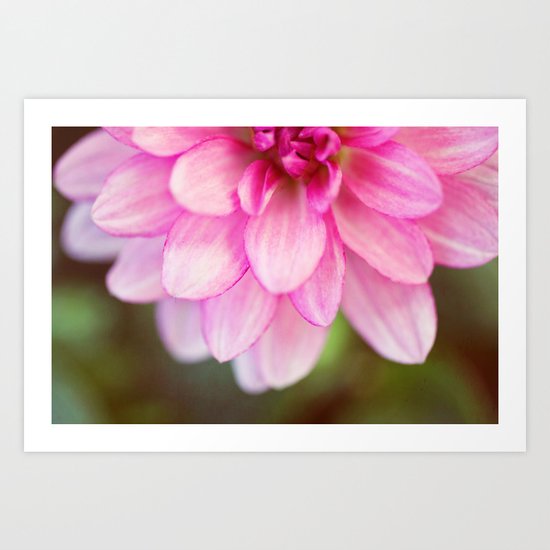 petals of love Art Print