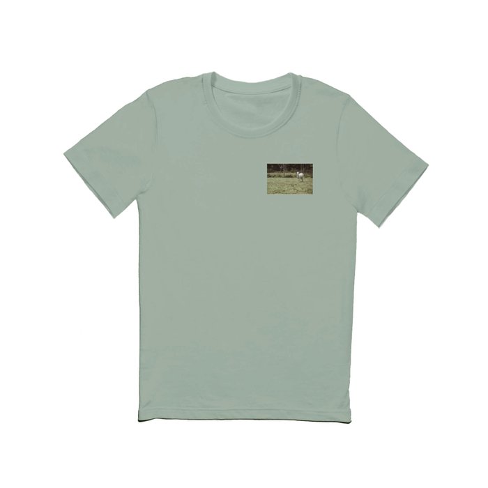 Brahman printed t sales shirt