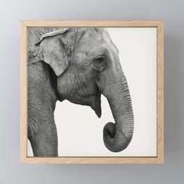 Elephant Animal Photography Framed Mini Art Print