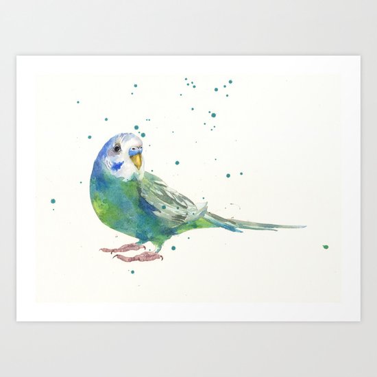 Budgerigar Watercolor Print Art Print
