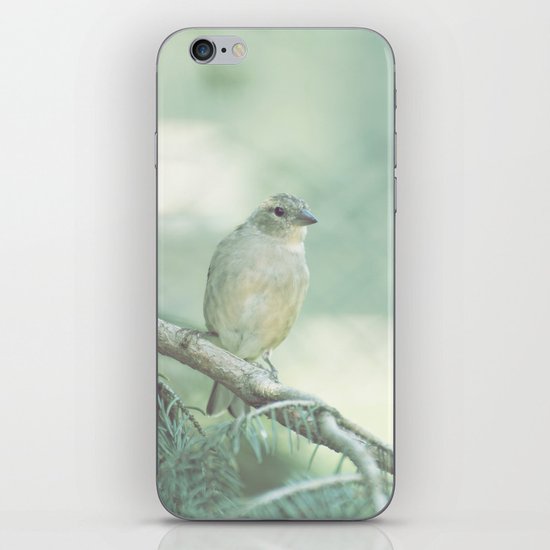 Bird iPhone & iPod Skin