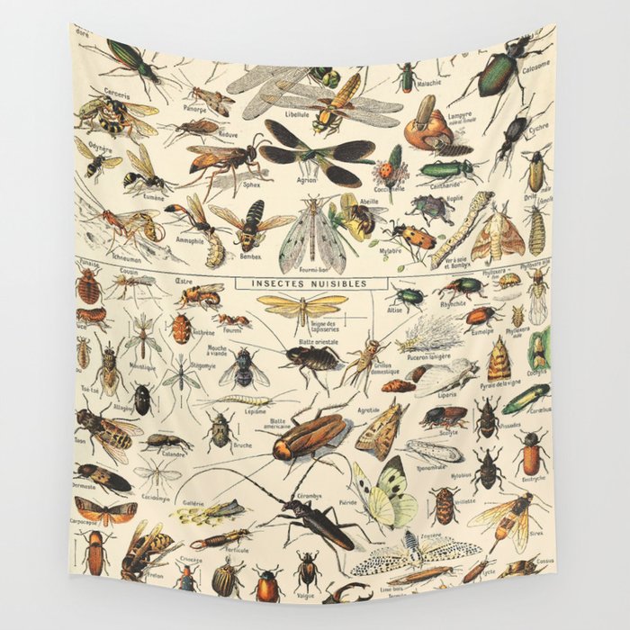 Insect Vintage Science Chart Wall Tapestry