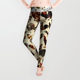 The Poultry of the World Leggings