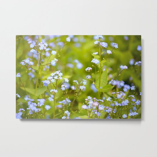 Forget-me-not Metal Print