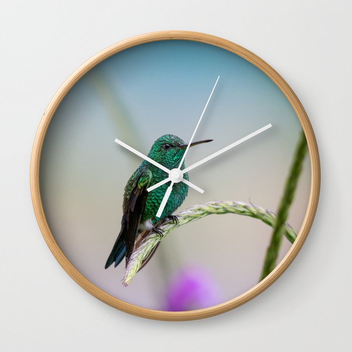 Costa Rican Hummingbird Wall Clock