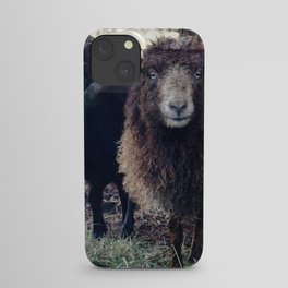 A Pair of Ouessant Sheep 2 iPhone Case