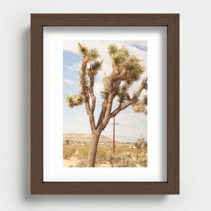 Joshua Tree California Landscape III Vertical Color Recessed Framed Print