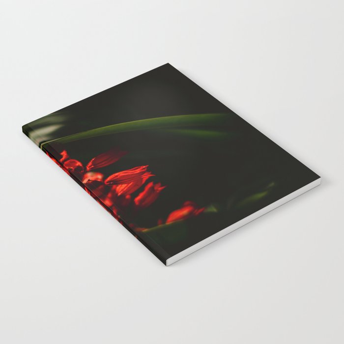 Salvia - Red Flower Notebook