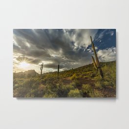 Standing Watch Metal Print | James, Desert, Saguaro, Desertscape, Sonoran, Sunset, Sunshine, Stamsek, Rays, Cloudy 