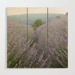 Luscious Lavender Fields Landscape Photography Wood Wall Art