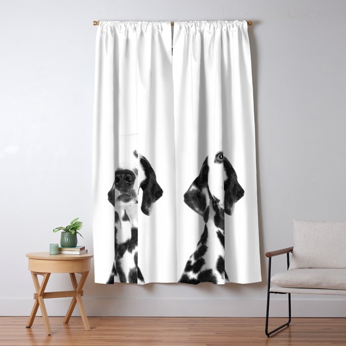 Blackout Curtain