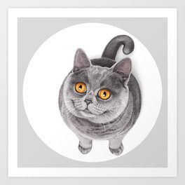 Smiling Rounded Cat Art Print