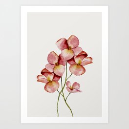 Soft Flowers Art Print