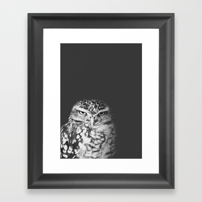 grumpy owl Framed Art Print