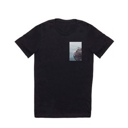 Boat In The Sea T Shirt
