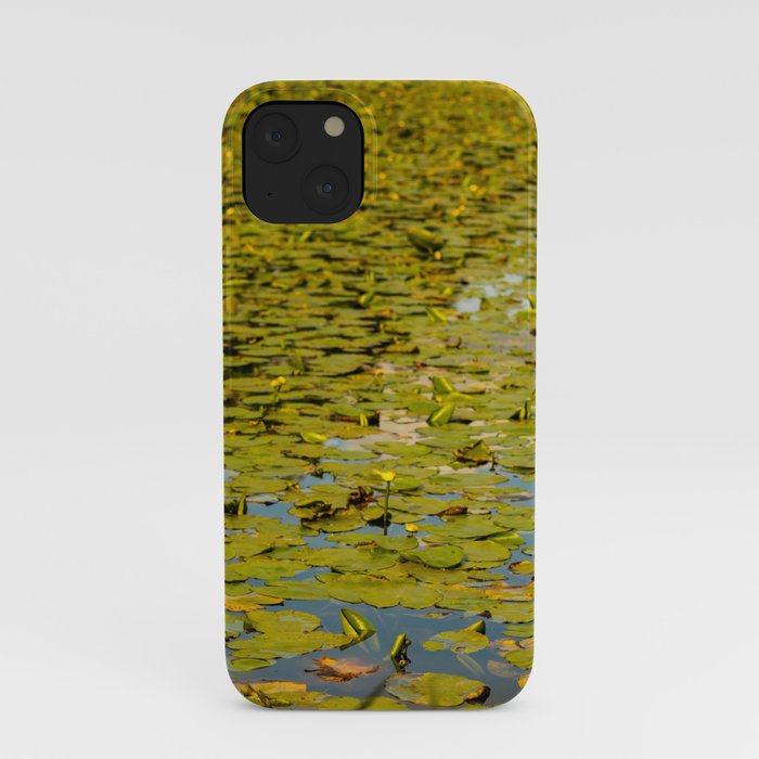 Lily pads iPhone Case