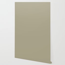 Neutral Mid-tone Mossy Grayish Tan Solid Color Olive Gray PPG1027-4 - All One Single Hue Colour Wallpaper