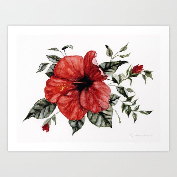 Blooming Red Hibiscus Art Print