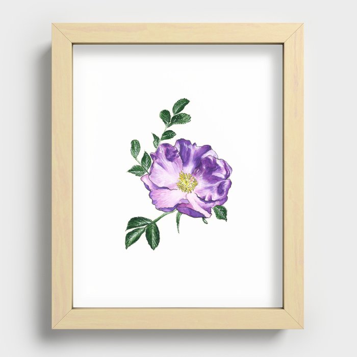 Eglantine Rose - Lone Floral Recessed Framed Print
