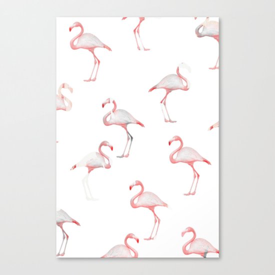 Flamingo Canvas Print