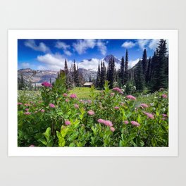 Wildflower Mountain Meadow Art Print