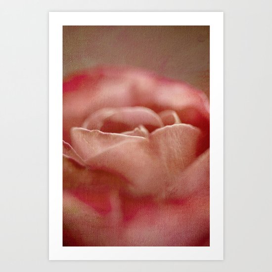 touch of rose Art Print