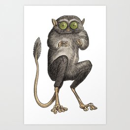 Tarsier Monkey Art Print