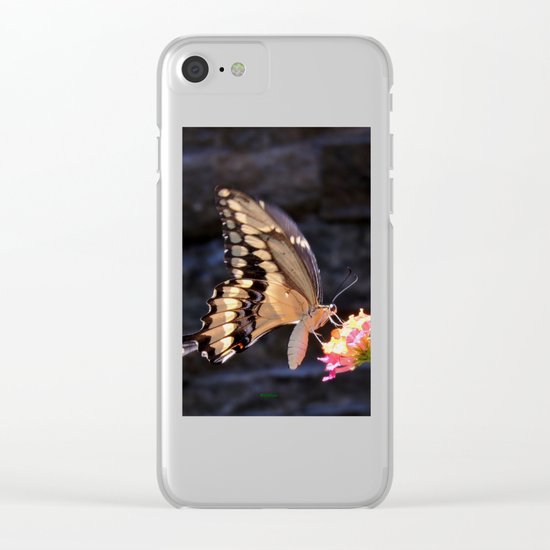 Swallowtail Overexposed Clear iPhone Case
