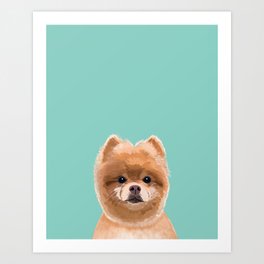 Pomeranian dog portrait minty cute art gifts for dog breed pom lovers Art Print