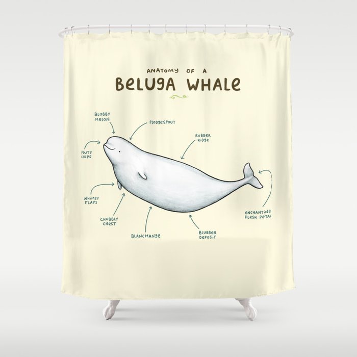 Anatomy of a Beluga Whale Shower Curtain
