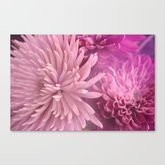 Pink Hour Canvas Print