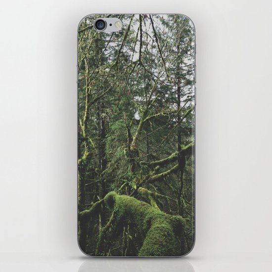 Moss Covered Trees iPhone & iPod Skin