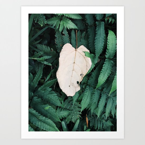 Nature Walk 001 - White Leaf Art Print