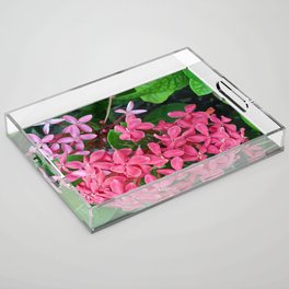 Mexico Photography - Pink Flowers Surrounded By Leaves Acrylic Tray