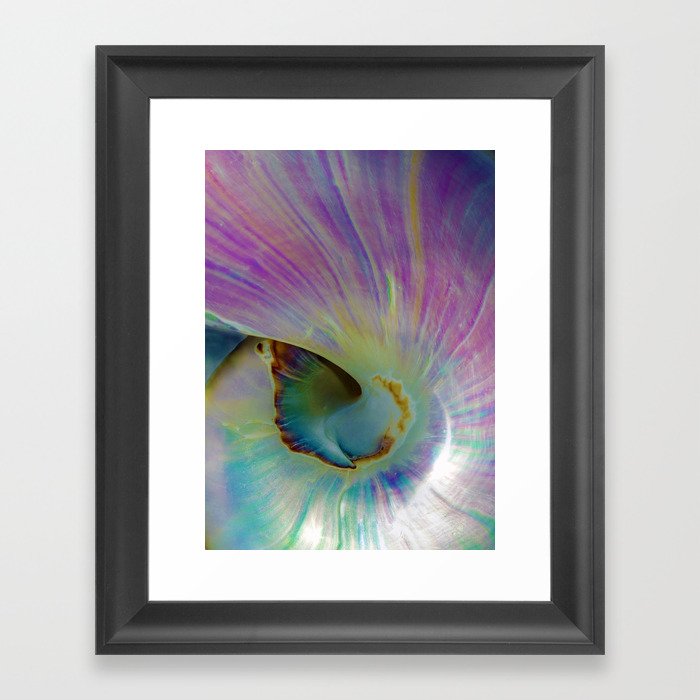 Spiraling Shell Framed Art Print