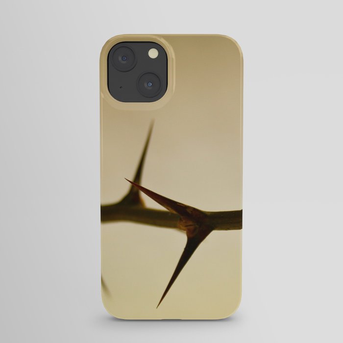 The Sharp Point of Winter iPhone Case