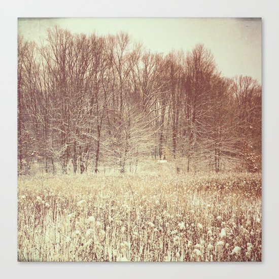 Winter White Canvas Print