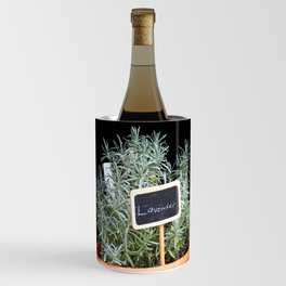 Lavender Plant Wine Chiller