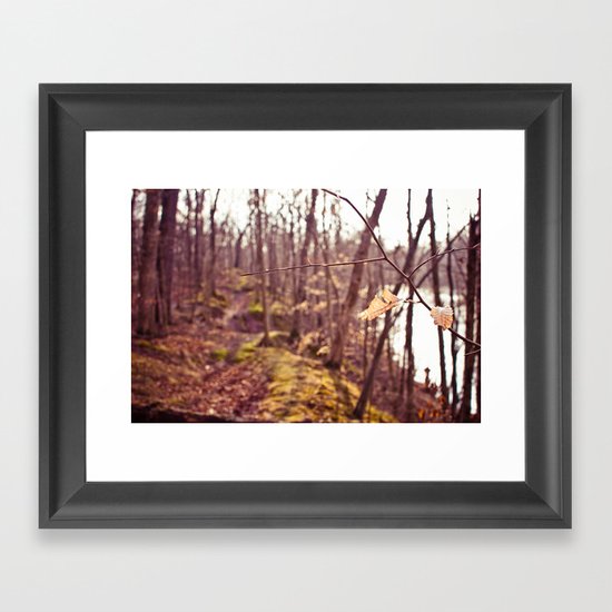 A Walk in the Woods Framed Art Print