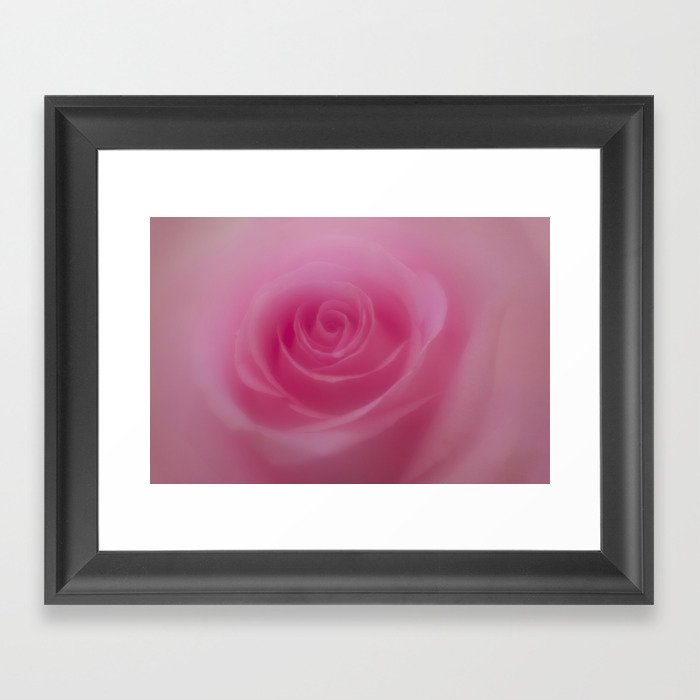 The sweetness of a rose Framed Art Print