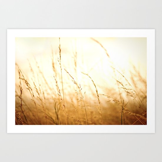 Fields of Bronze Art Print