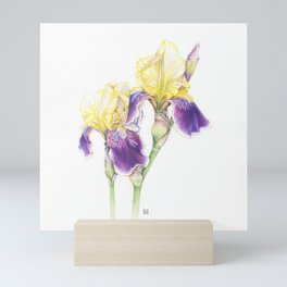 Violet & Yellow Iris Mini Art Print